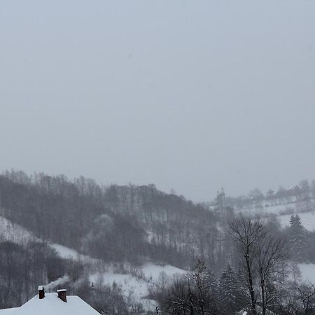 Pensiunea Iulia برانْ الغرفة الصورة