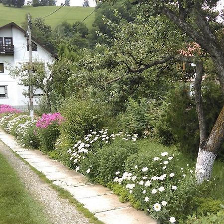Pensiunea Iulia برانْ المظهر الخارجي الصورة