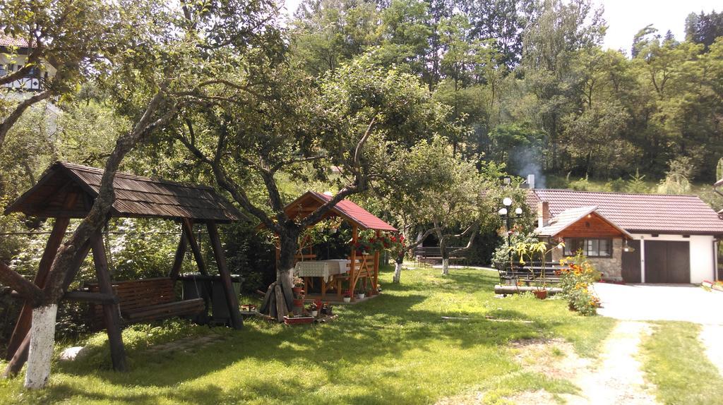 Pensiunea Iulia برانْ المظهر الخارجي الصورة